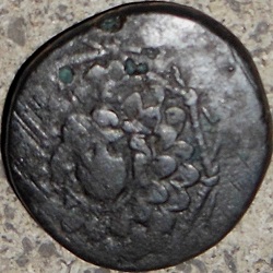 Mithradates VI, tetrachalkon AE 19, Amisos, z.j. ca 85 - 65 v Chr