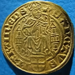 David van Bourgondië, St. Maartens goudgulden, z.j. 1467-1482